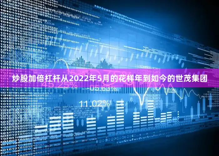 炒股加倍杠杆从2022年5月的花样年到如今的世茂集团